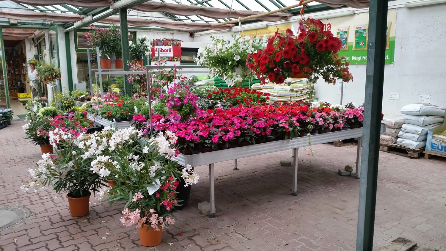 Pflanzenmarkt mit blühenden Sommerblumen unter dem Glasdach
