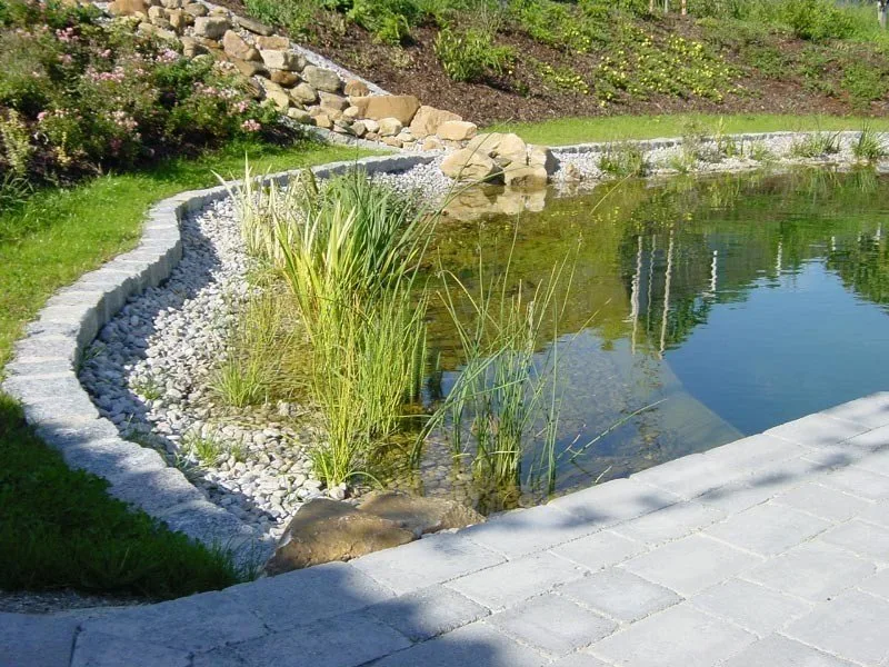 Teich mit Kiesufer, Schilf und gepflastertem Rand